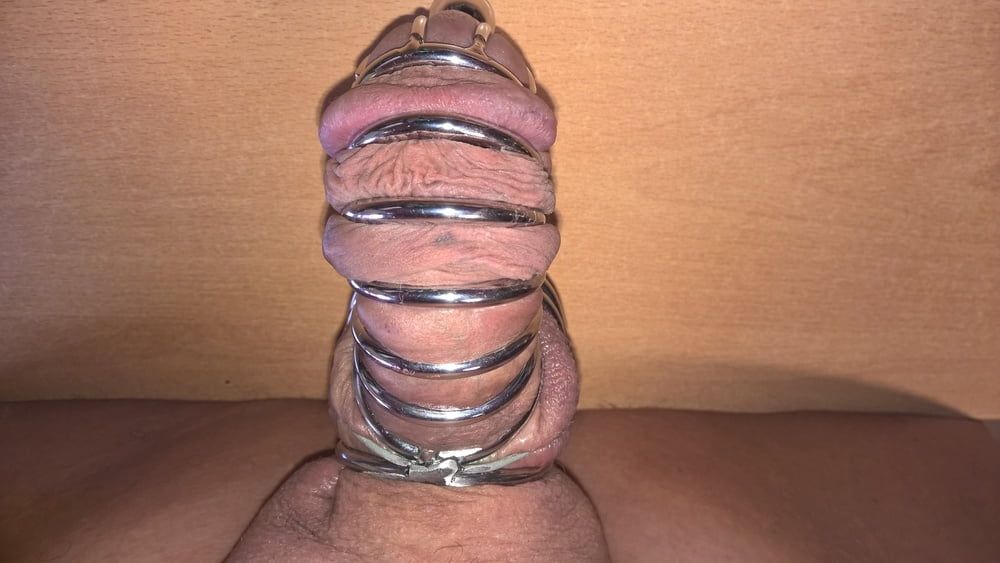 Smallest penis and testicle cage 1 #3