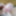my precum - Cotten 176 #12
