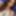 Free Ari Photos