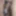 mandatory weighing and cagecheck of 25.02.2023