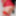 RedWhite Stockings Cuban #15