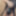 Closeups  #12