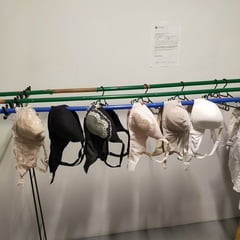 Selfie with 6 gigantic bras. Wacoal F80.