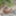 Milf pisst am Strand #12