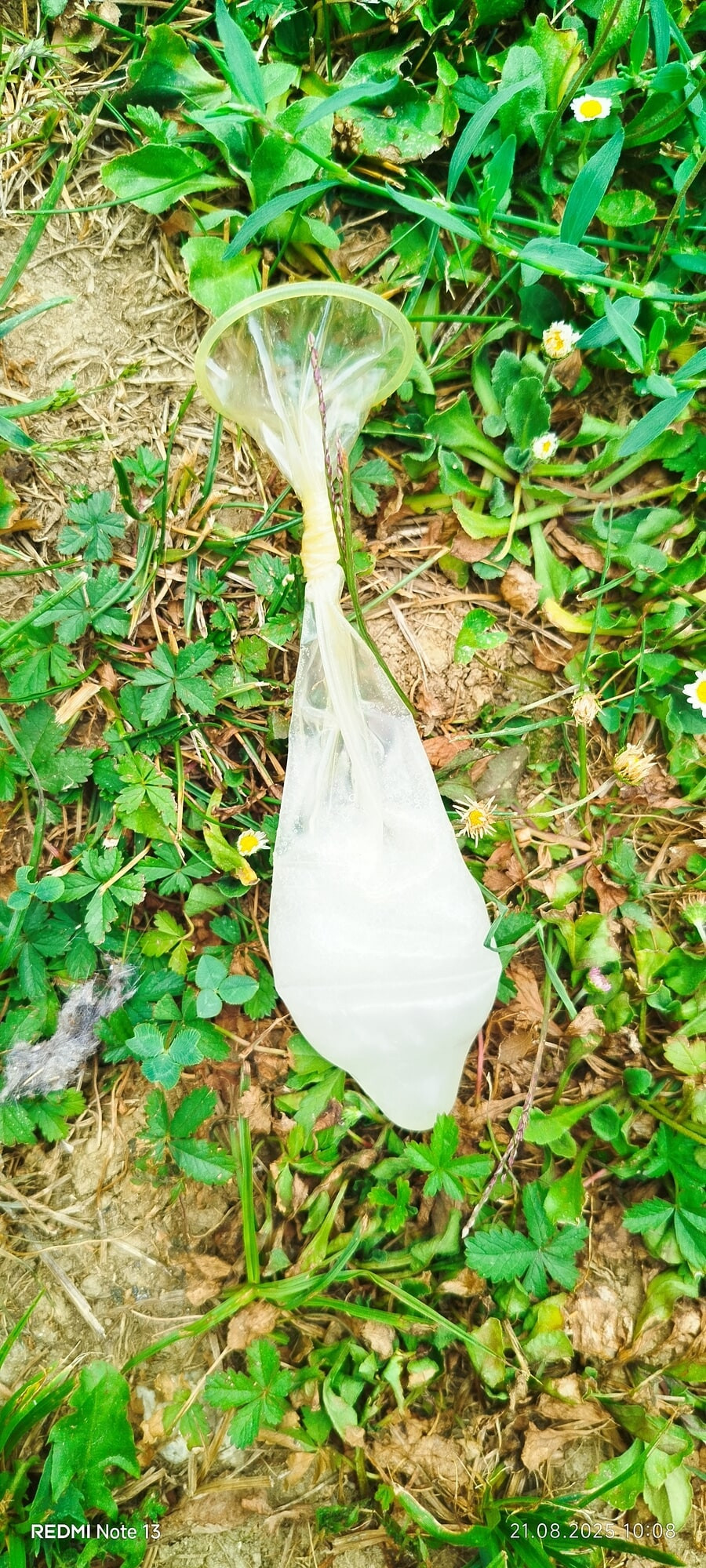 Cum in Condom