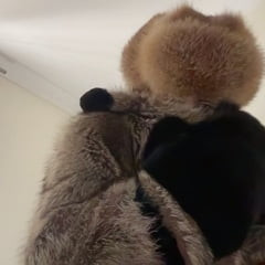 me n furs