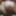 Small Cock Pre-Cum