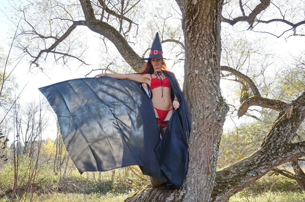 Witch on the Tree #42
