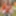 Amateur Crossdresser Kellycd2022 sexy milf in white stocking