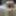 Ücretsiz Honeyfeet2024 Fotoğrafları