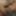 Büyük amcığım 