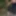 I tied my clothes in the forest #5