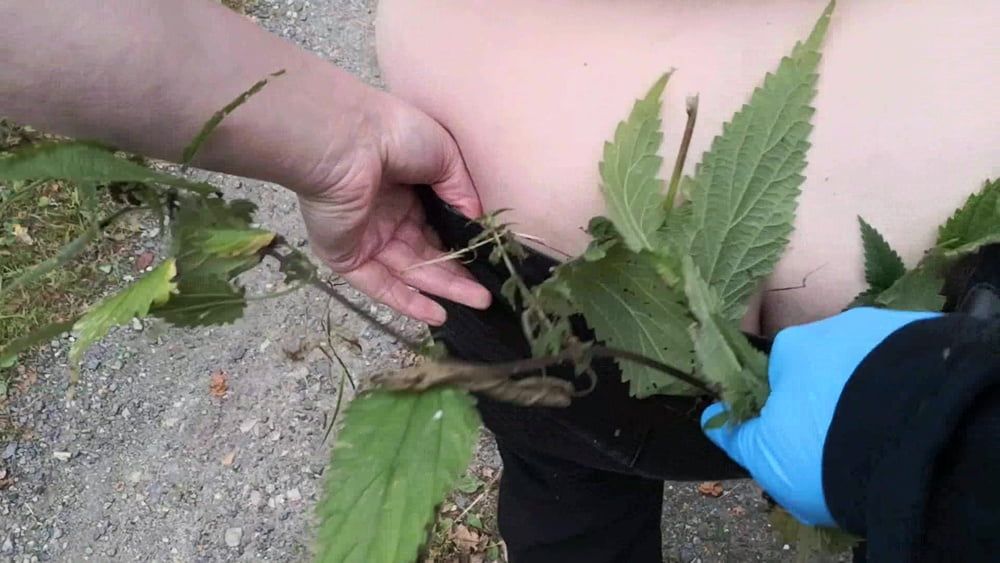 Nettles and other stuff in my bra and slip #5