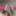 POV clitty and heels January 2025 #14