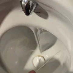 Cuming 