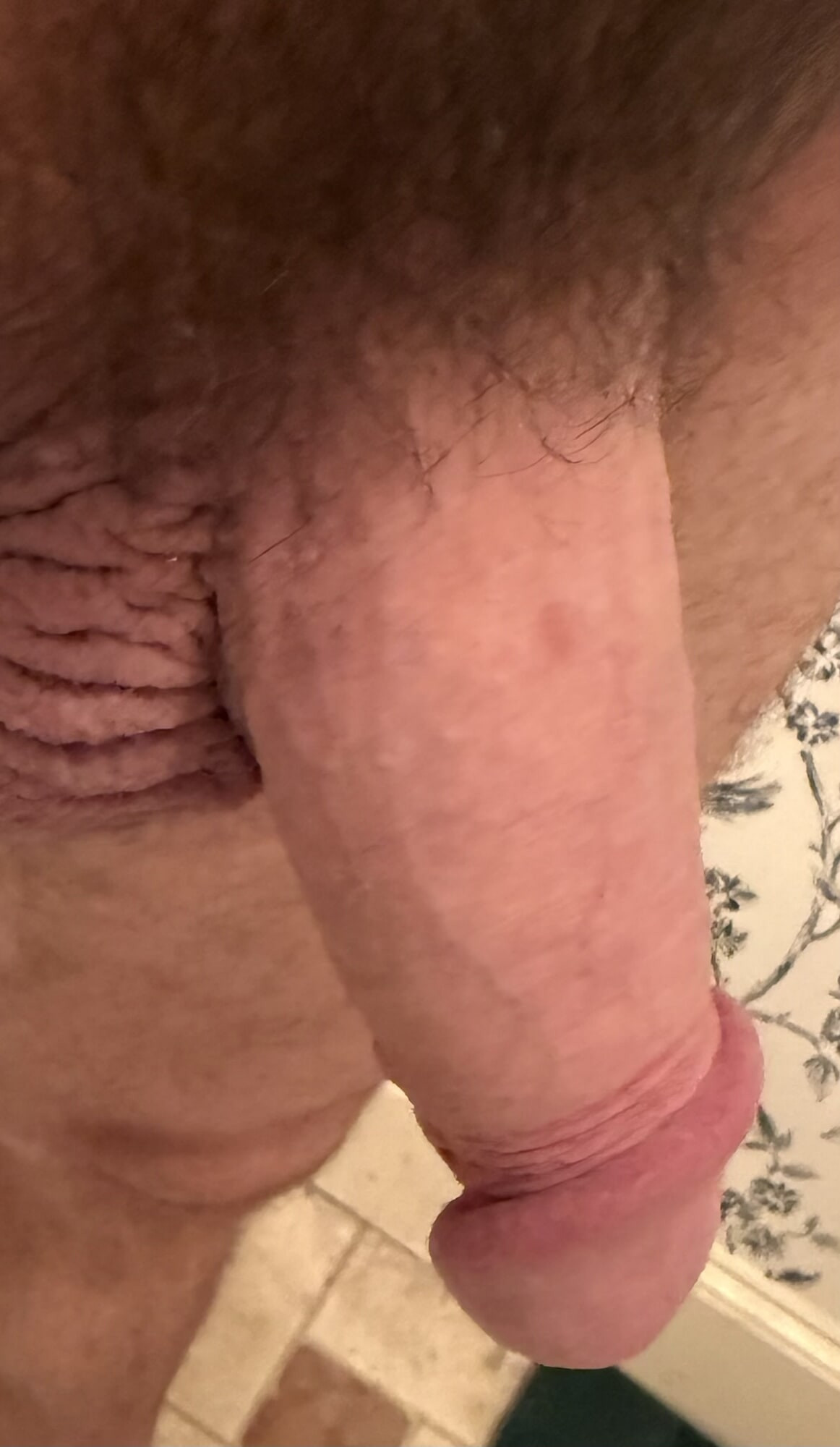 Morning Glory 