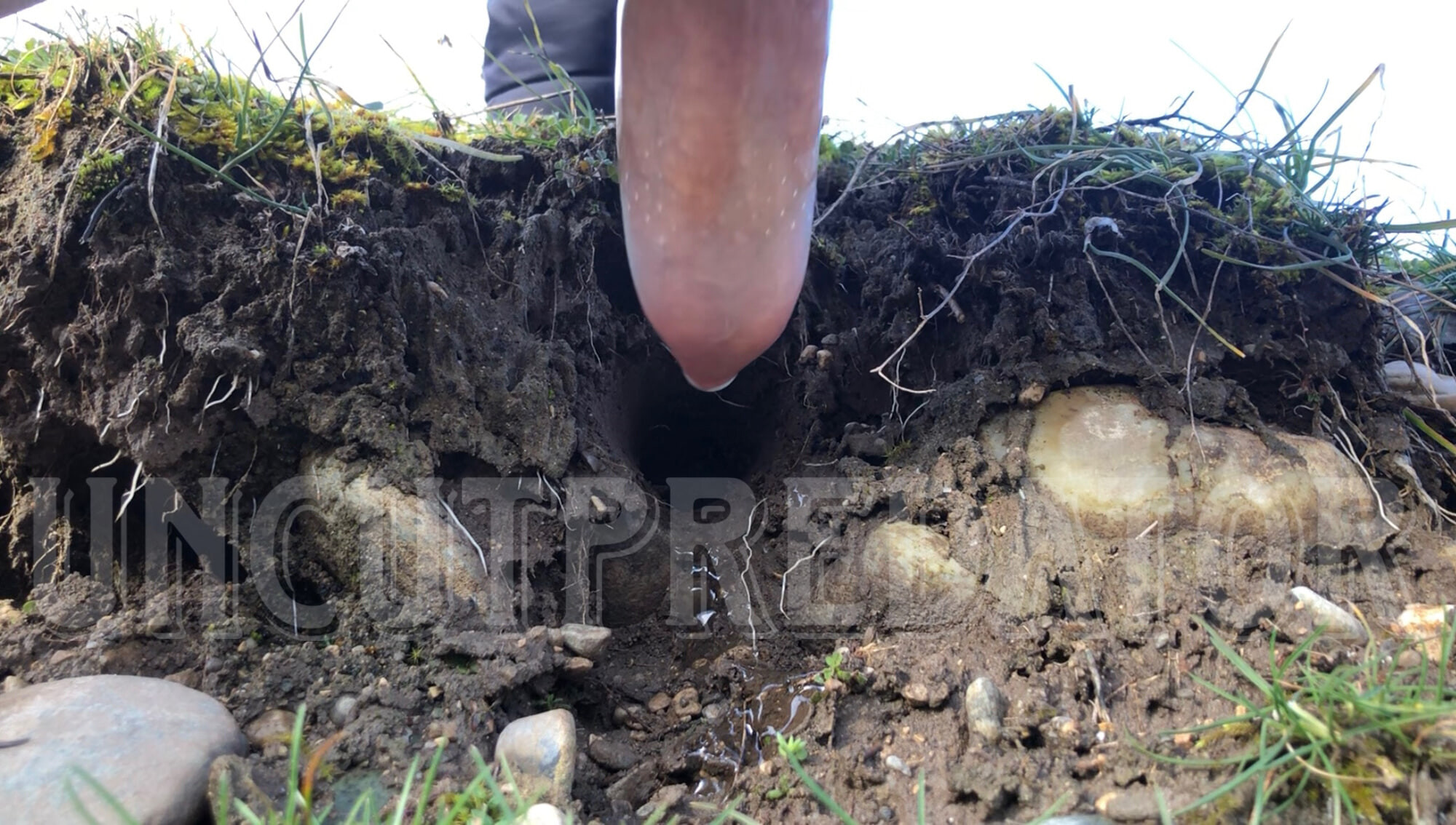 Big hairy cock fucking a dirty hole