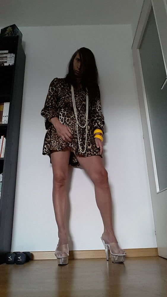 Tygra in her new leopard dress. #34