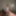 Young indian black big dick
