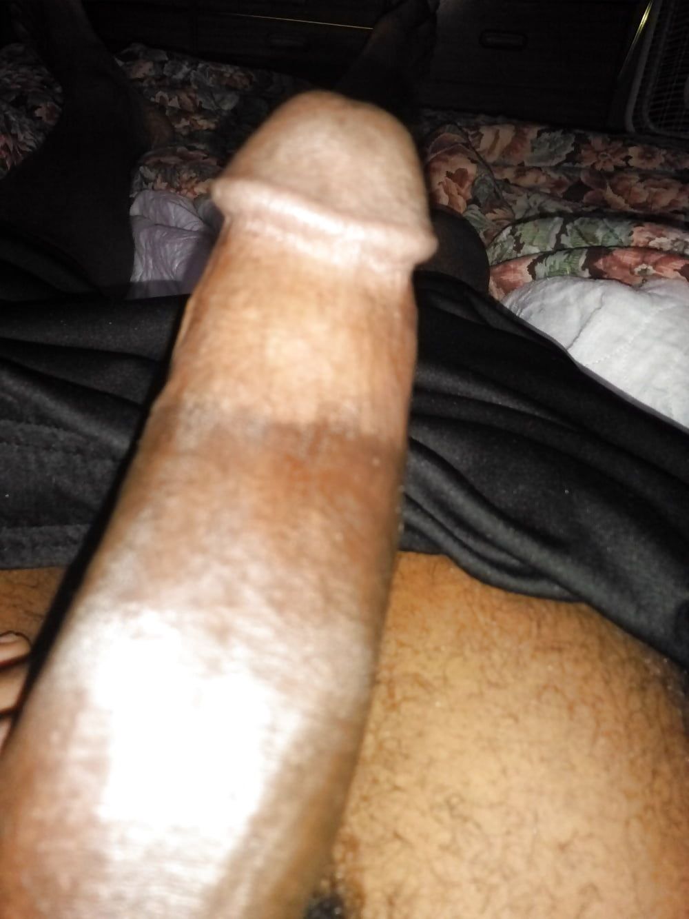 Pretty Dick