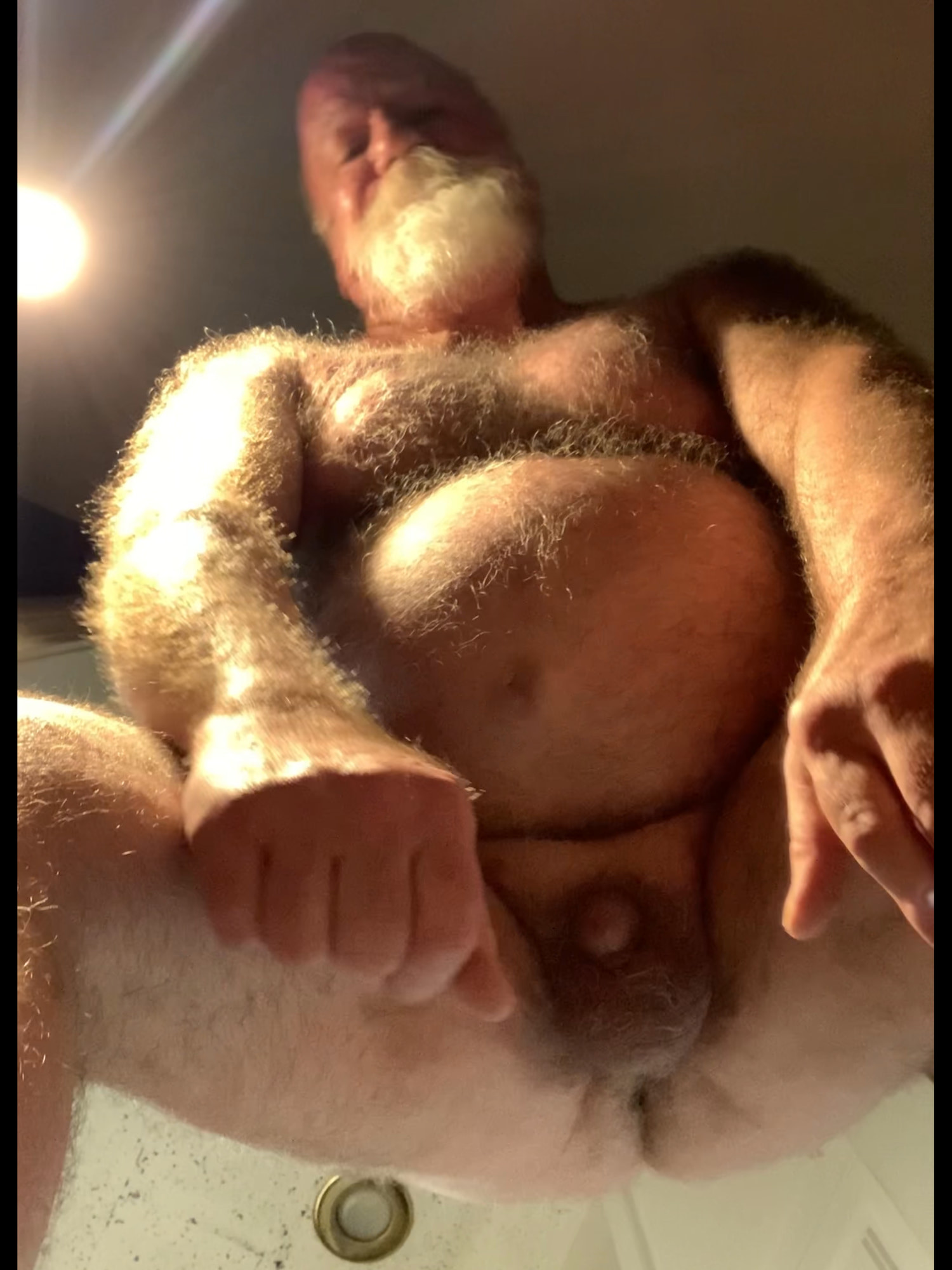 Stachebear pics  #8