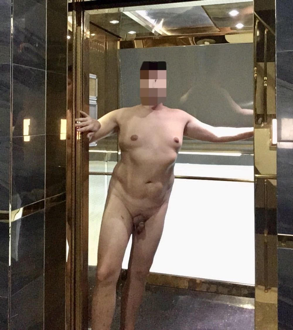 Nude in the apartment lift 