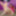 JOEYSTRANSFEETGIRLS: Sammi Smith&#039;s First Footjob #7