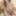 Shino Aoi :: The Prey waitress - CARIBBEANCOM #30