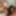 Unfaithful chick was fucked in rough threesome