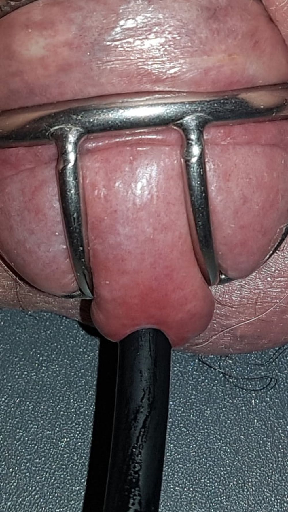 Urethral insertion #40