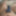 ランダムな新しい写真
