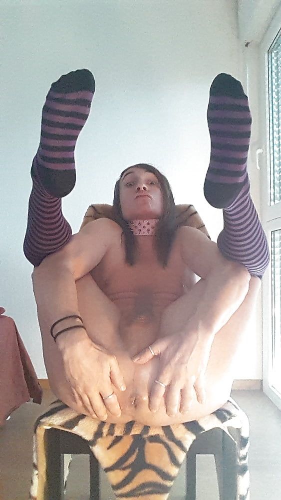 Tygra in socks striped purples #2