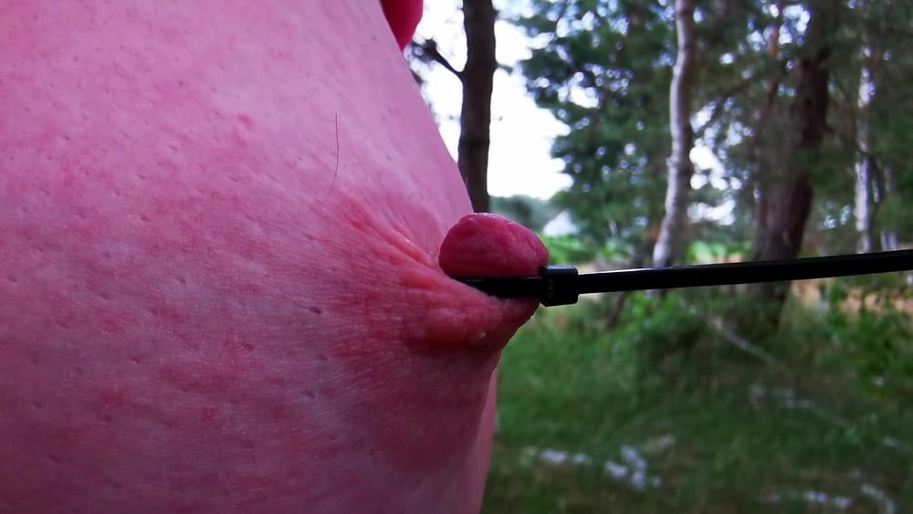 Painful using her nipples in public #28