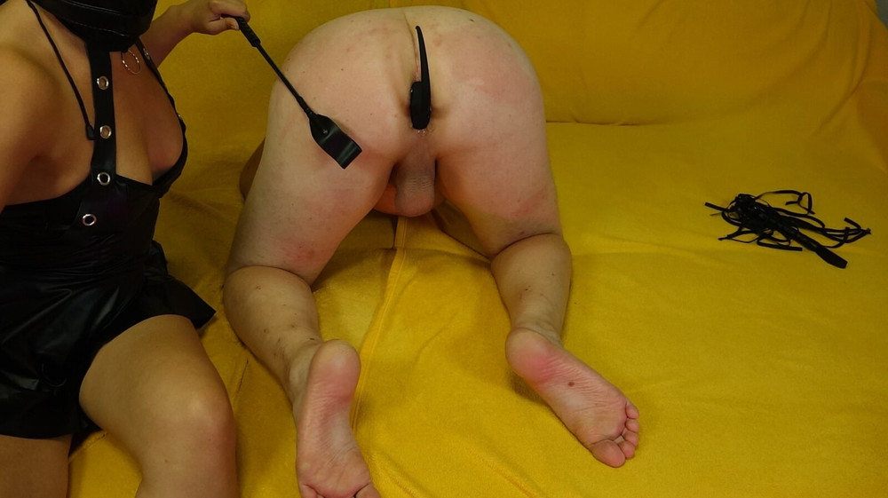 Femdom play, pet play , domina , mistress #8