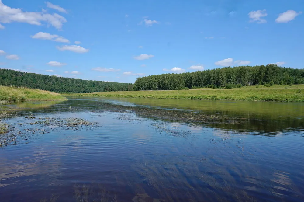 Mermaid of Volga-river #2