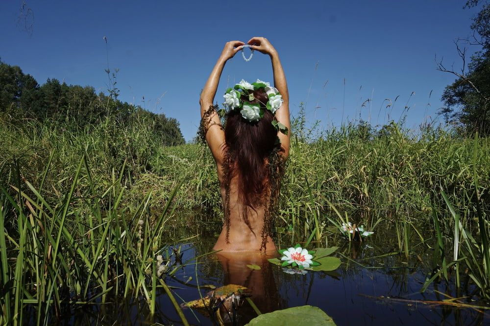  In Pond with Waterflowers 2 #40