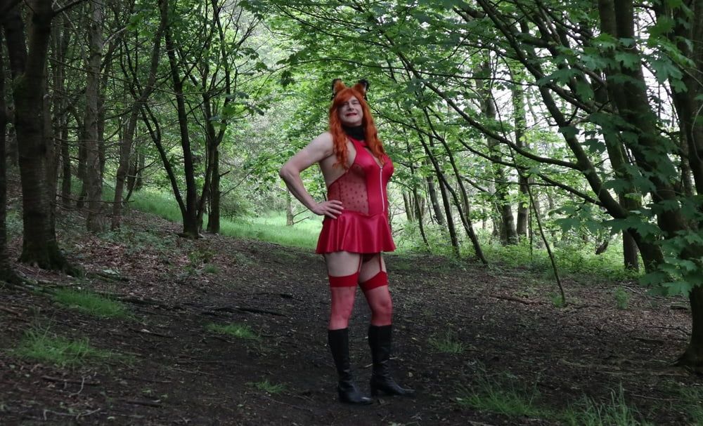 Would you like to hunt and catch this naughty little fox? #2