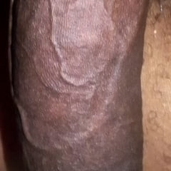 Check 