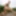 Petite Beauty Kristi Takes of Skirt Wearing Tan Pantyhose