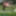 Crossdressing Transvestite Sounding Urethral God Dildo 122 a