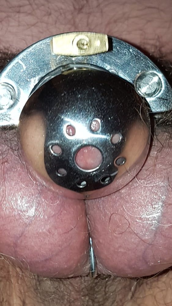 Chastity cage #34
