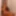 Tygra babe eat the two sides of large cumcumber. #2