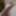 ASSorted dick pics