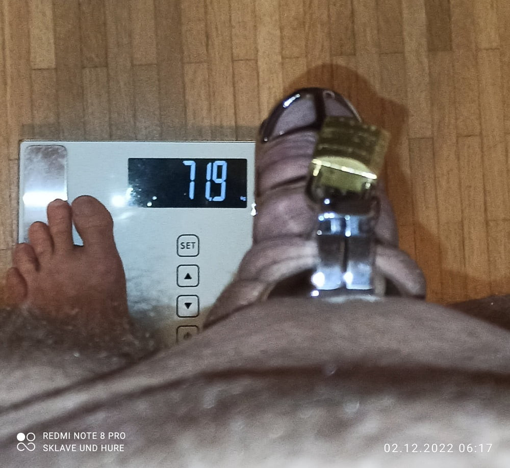 mandatory weighing and cagecheck of 02.12.2023 #6