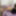 Slutty Stepsister Hogtied And Pantyhose Hooded - Selfgags #28