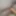 Trying a 18 INCH Anal dildo