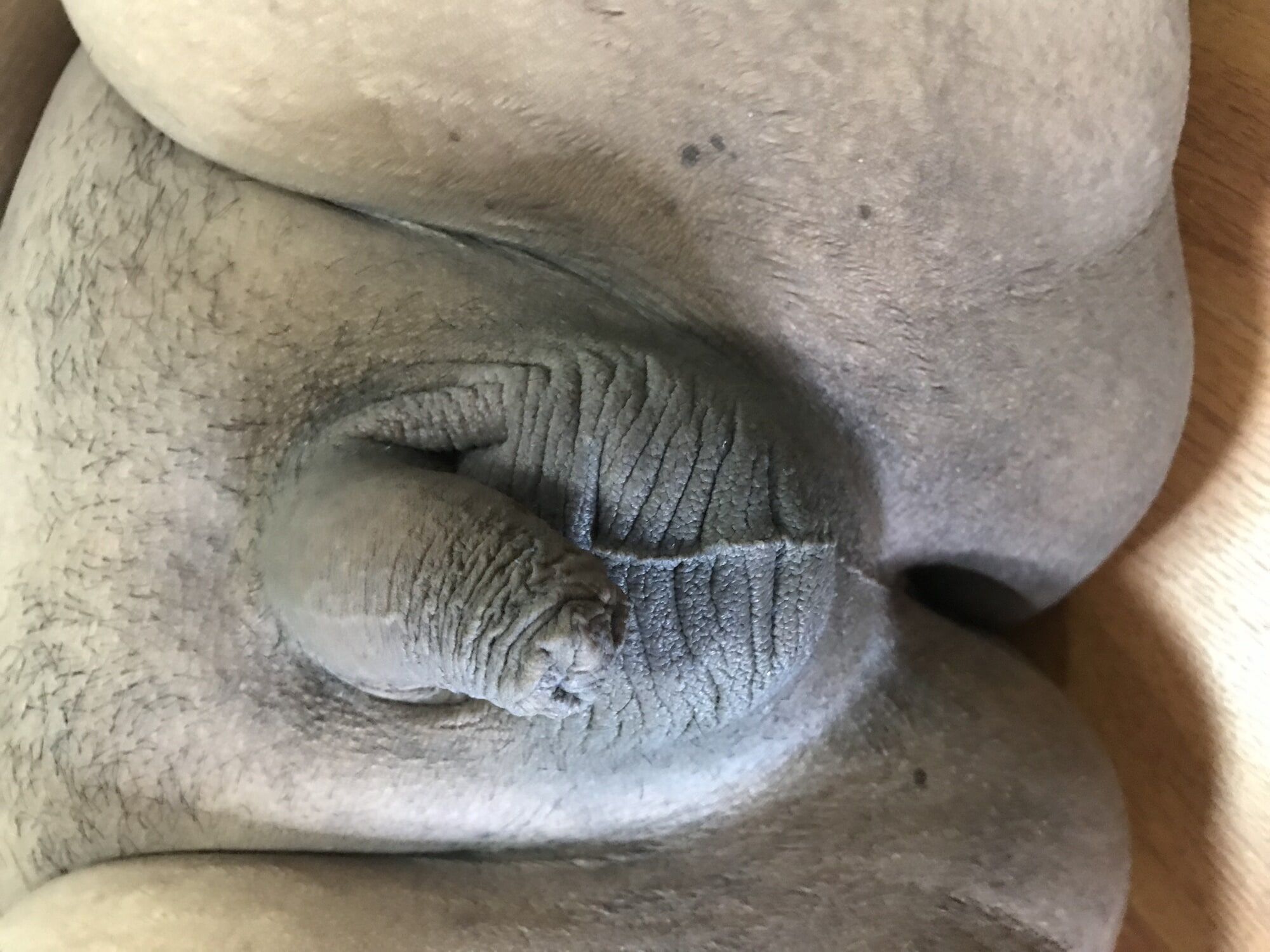 Small dick chubby dildo anal amateur 03