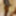 Black honey gets recorded as she showers #35