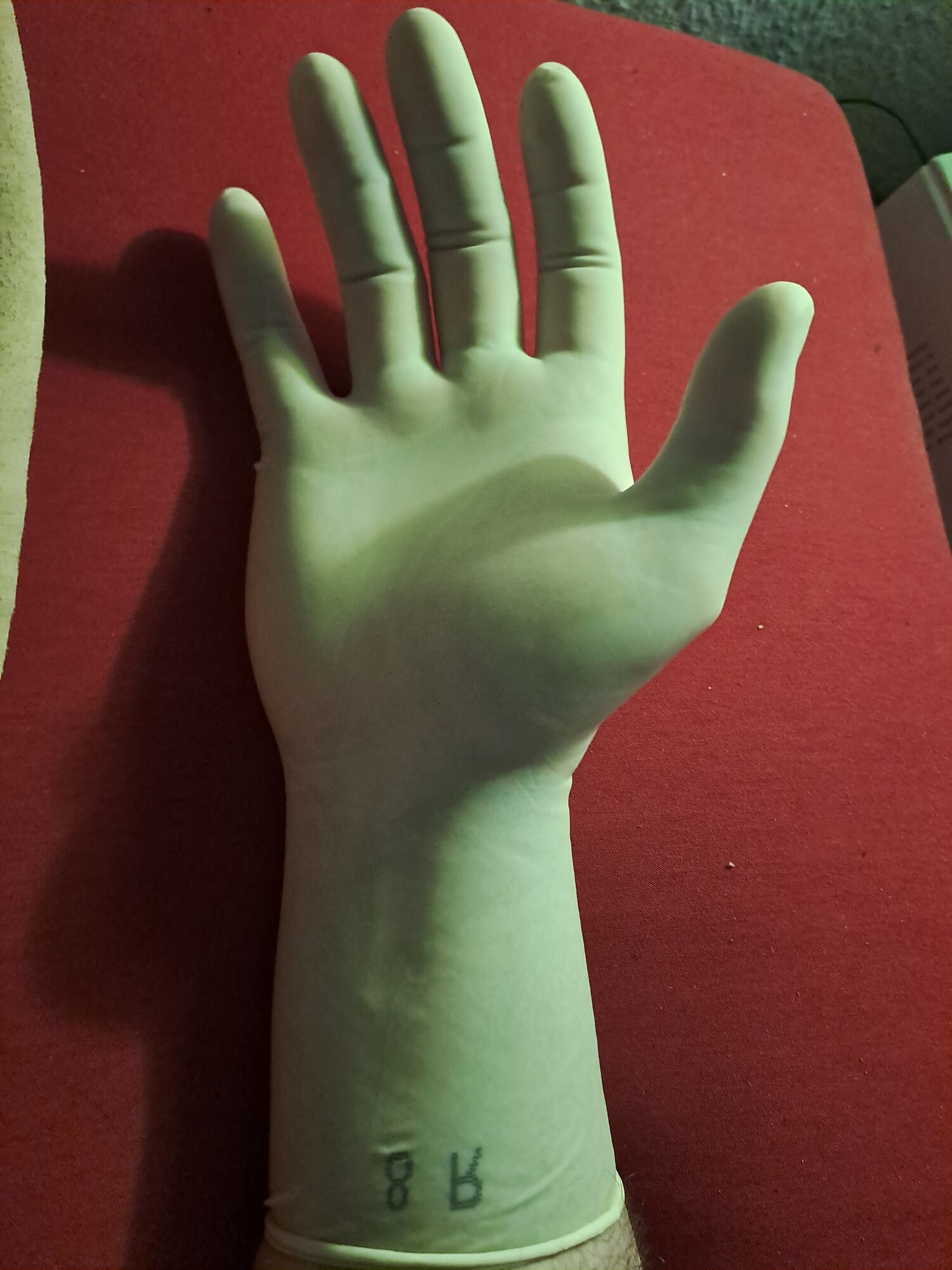 Latex Gloves  #6