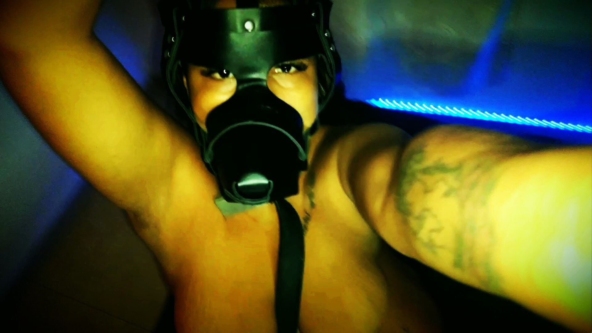 LIL PONY THICKNESS  #2